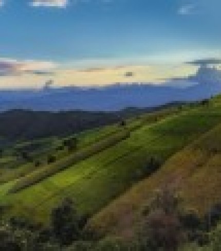 green-rice-field-mountains-pa-bong-piang-rice-mae-chaem-chiang-mai-thailand_35239-129-300×122